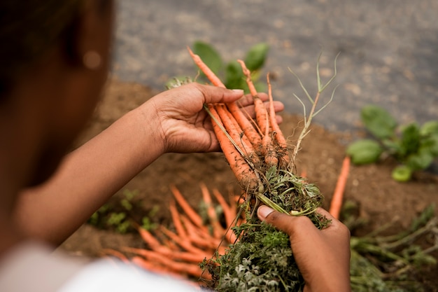 Foto gratuita mujer de alto ángulo sosteniendo zanahorias