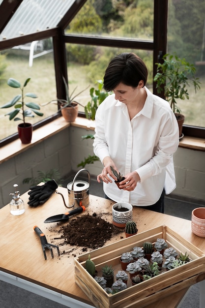 Mujer de alto ángulo trasplantando plantas