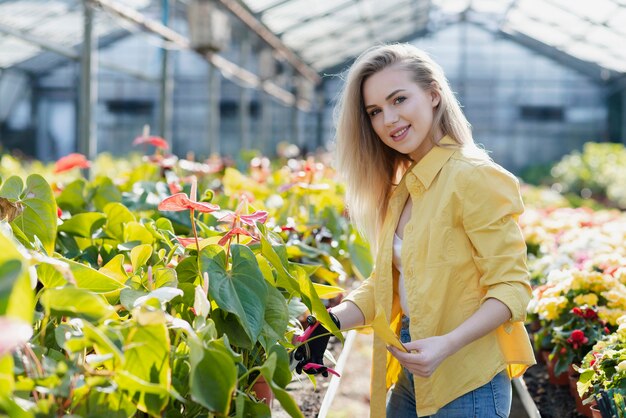 Mujer de ángulo bajo en invernadero cuidando plantas