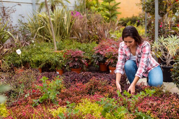 Mujer arreglando plantas en invernadero