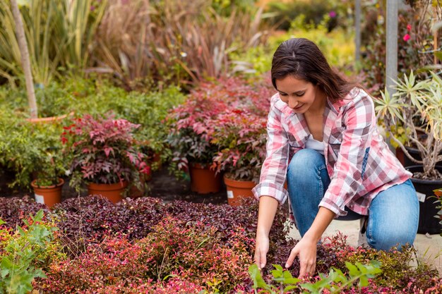 Mujer arreglando plantas en jardín