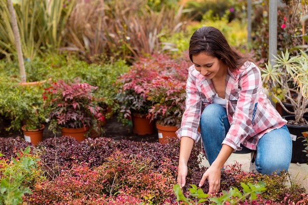 Mujer arreglando plantas en jardín