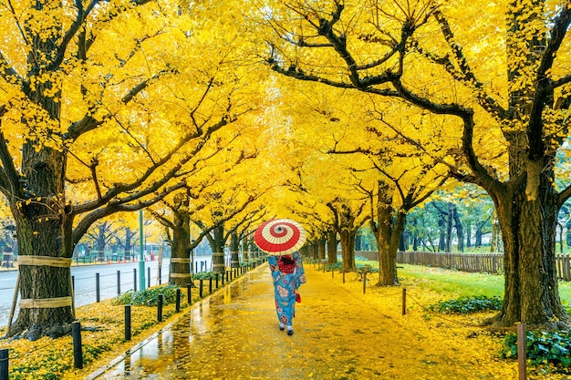 Mujer asiática vistiendo kimono tradicional japonés en la fila del árbol de ginkgo amarillo en otoño. Parque de otoño en Tokio, Japón.