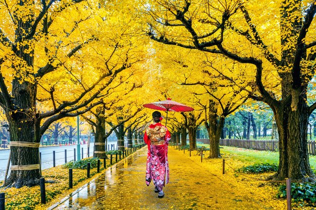 Mujer asiática vistiendo kimono tradicional japonés en la fila del árbol de ginkgo amarillo en otoño. Parque de otoño en Tokio, Japón.