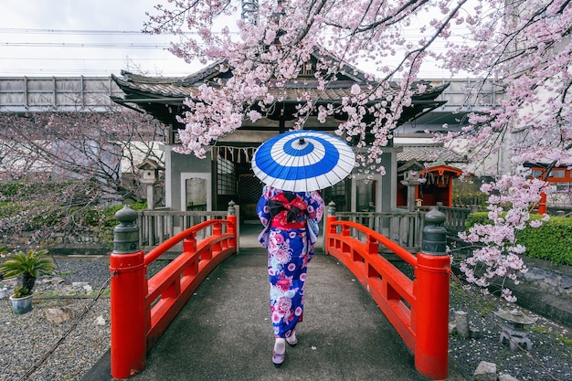 Mujer asiática vistiendo kimono tradicional japonés y flor de cerezo en primavera, templo de Kyoto en Japón.