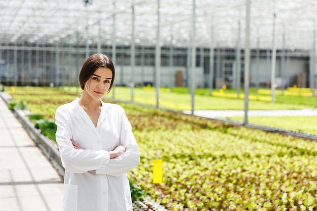 La mujer en la bata blanca del laboratorio se coloca antes de las plantas en el invernadero