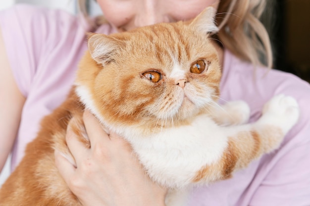 Mujer, besar, gato, en, cabeza, cicatrizarse