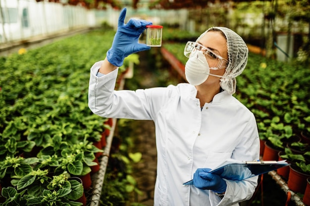 Mujer botánica examinando muestras de plantas durante la inspección de control de calidad en un invernadero