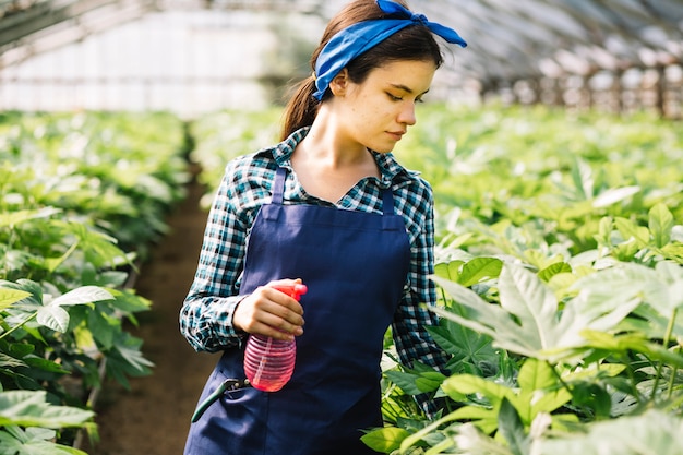 Mujer con botella de spray mirando plantas en invernadero