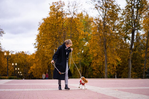 Una mujer camina por el parque con un Cavalier King Charles Spaniel. Una mujer caminando en el parque de otoño con un perro. Cavalier King Charles Spaniel