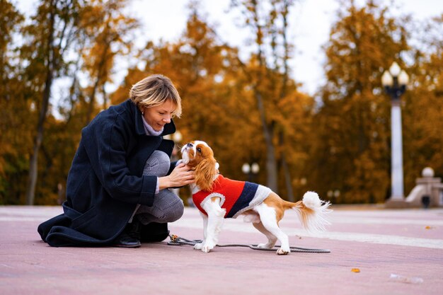 Una mujer camina por el parque con un Cavalier King Charles Spaniel. Una mujer caminando en el parque de otoño con un perro. Cavalier King Charles Spaniel