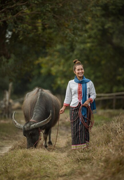 Una mujer camina sosteniendo una cuerda de búfalo en el prado.