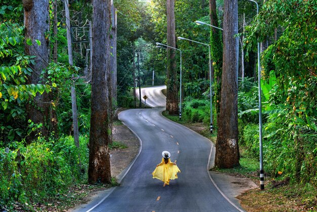 Mujer caminando por la carretera con árboles gigantes en Chiang Mai, Tailandia.