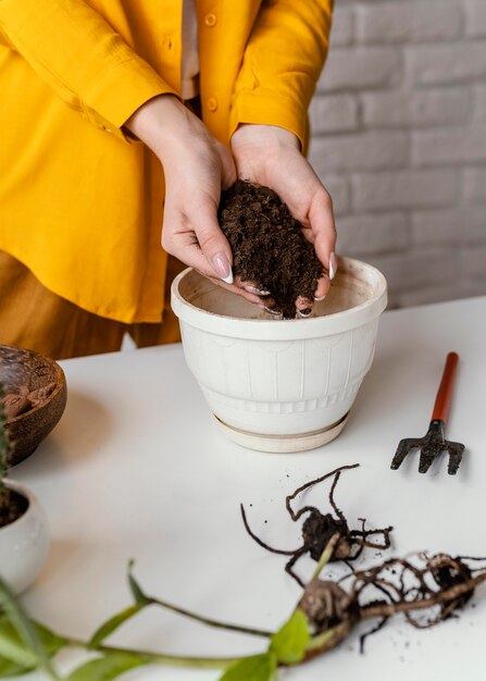 Mujer en camisa amarilla jardinería interior