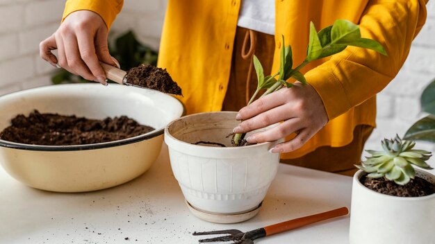 Mujer en camisa amarilla jardinería interior