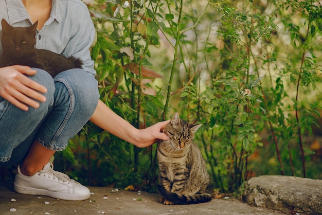 mujer en una camisa azul jugando con lindo gatito