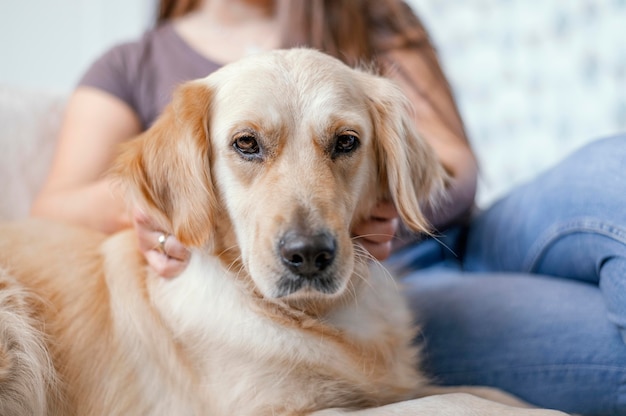 Mujer de cerca con perro lindo