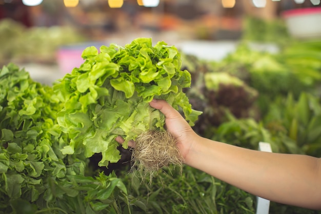 mujer compra verduras orgánicas