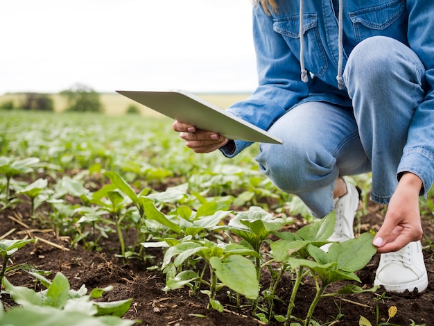 Mujer comprobando sus plantas con espacio de copia