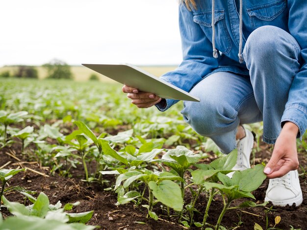 Mujer comprobando sus plantas con espacio de copia