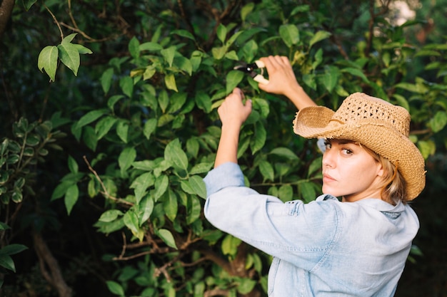 Foto gratuita mujer, corte, árbol, hojas, y, mirar atrás