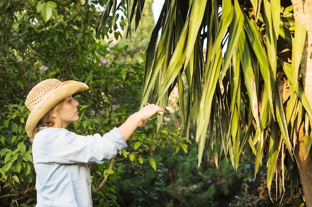 Foto gratuita mujer, corte, hojas, de, árbol