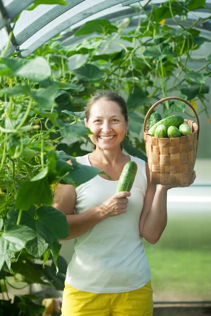 mujer cosechando pepinos