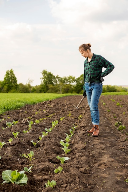 Foto gratuita mujer cosechando verduras