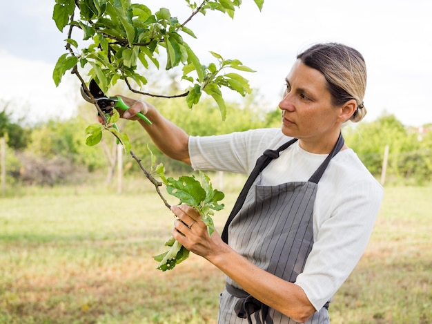 Mujer cuidando un árbol