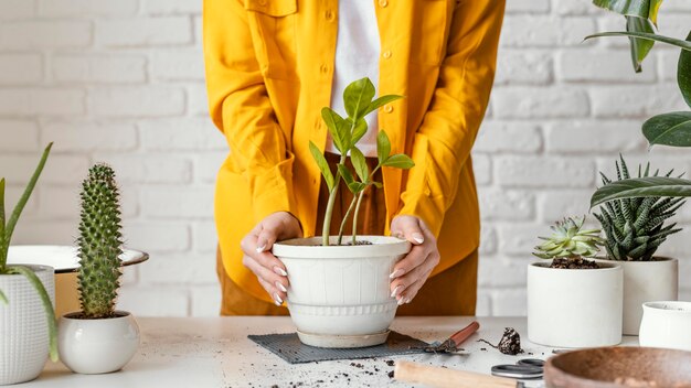 Mujer cuidando de la planta en maceta