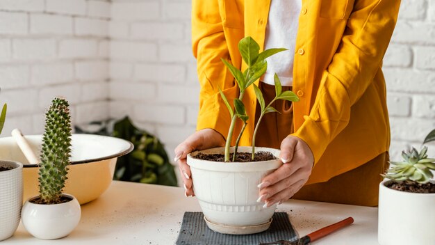 Mujer cuidando de la planta en maceta