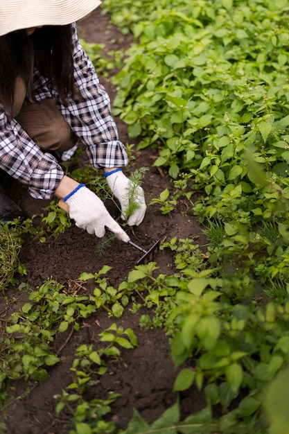 Mujer cuidando plantas alto ángulo