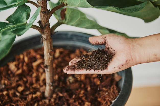 Mujer cuidando a su bebé de plantas