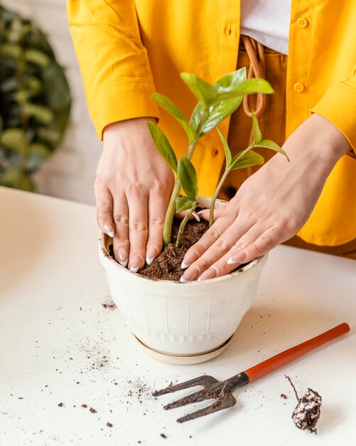 Mujer cuidando sus plantas en el jardín de su casa