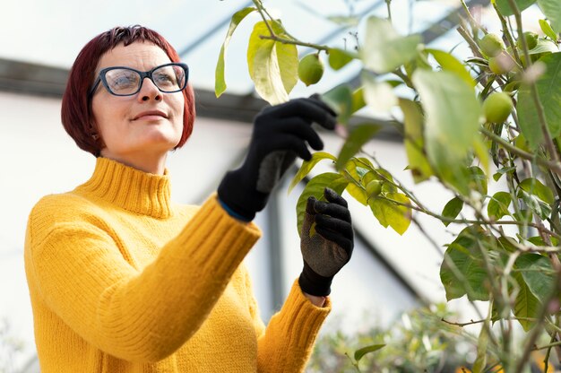 Mujer, cultivo de plantas