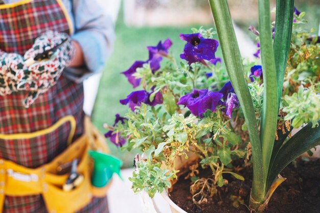 Mujer de cultivos cerca de plantas en macetas