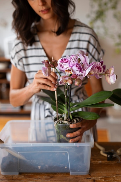 Foto gratuita mujer decorando su casa con orquídeas
