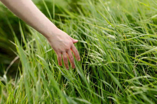Mujer deslizando la mano por la hierba en la naturaleza