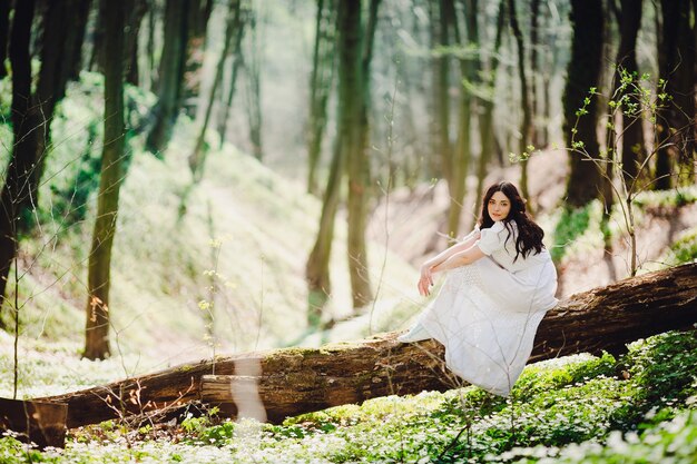 La mujer en elegante vestido blanco se sienta en el árbol en un día soleado