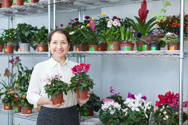 mujer elige Cyclamen en la tienda de flores