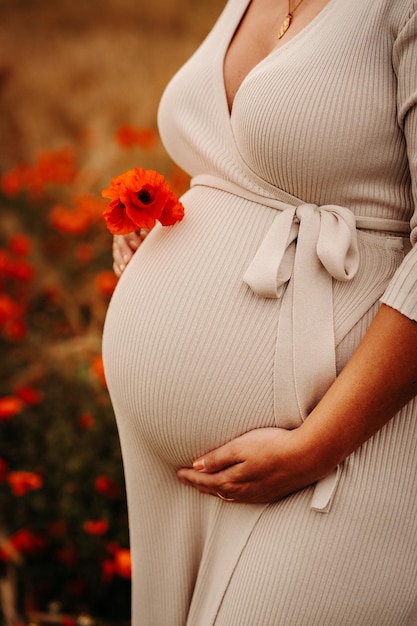 Mujer embarazada de pie entre el floreciente campo de amapolas