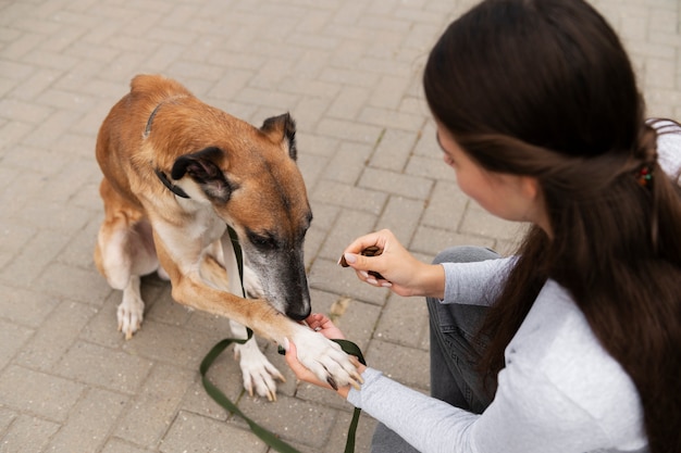 Foto gratuita mujer entrenando perro alto ángulo