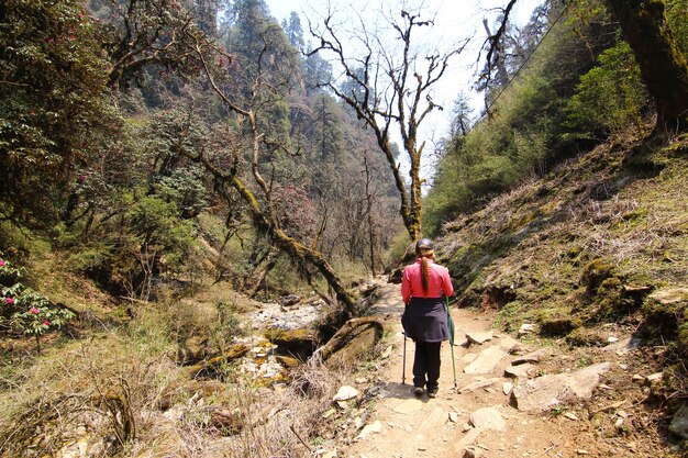 Mujer con equipo de senderismo caminando en el bosque de montaña