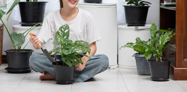 La mujer está sentada y plantando árboles en la casa.