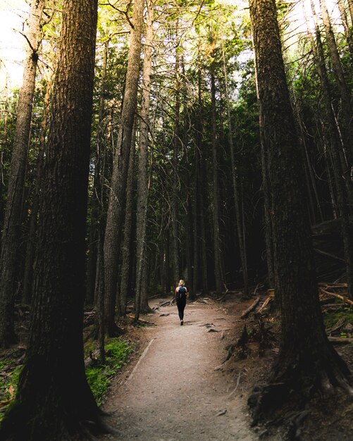 Mujer excursionista en una mochila caminando por un camino estrecho en el bosque