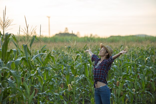 Mujer feliz disfrutando de la vida en el campo, hermoso amanecer sobre el campo de maíz. campo de maíz verde en el jardín agrícola y la luz brilla puesta de sol en la noche Fondo de montaña.