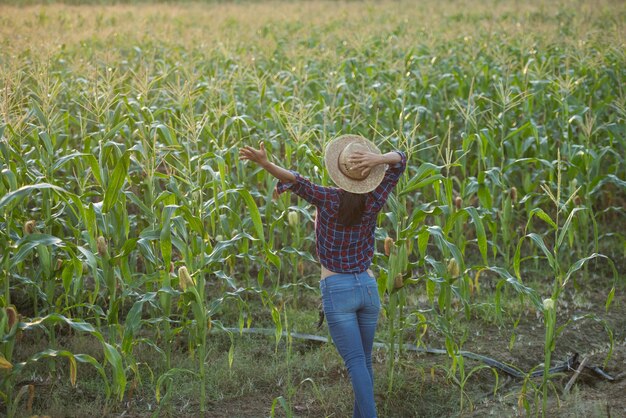 Mujer feliz disfrutando de la vida en el campo, hermoso amanecer sobre el campo de maíz. campo de maíz verde en el jardín agrícola y la luz brilla puesta de sol en la noche Fondo de montaña.