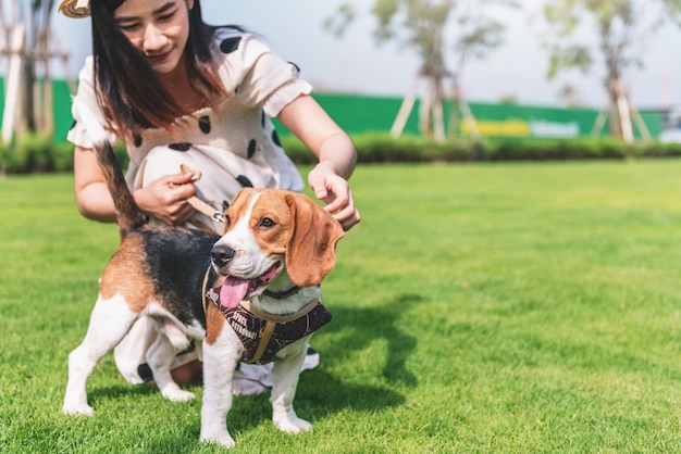 Mujer feliz jugando con su perro beagle en el parque al aire libreActividad recreativa de estilo de vida