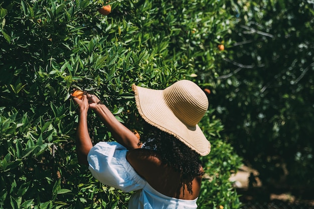 Mujer feliz recogiendo fruta naranja en el jardín