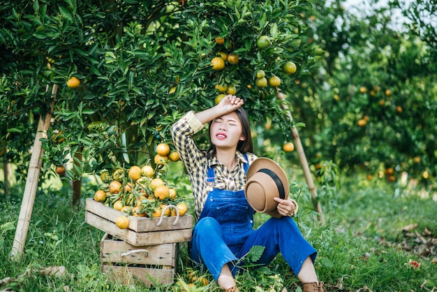 mujer havesting plantación de naranja